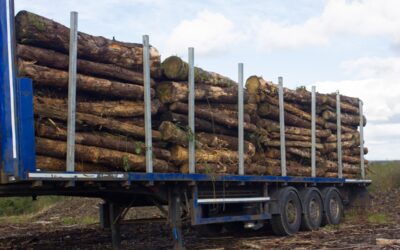 Common Causes of Heavy Haul Trailer Damage