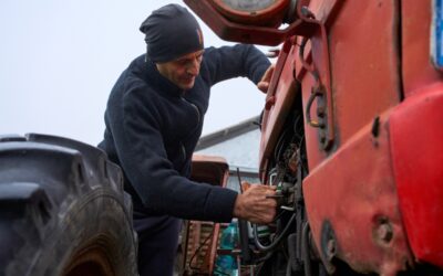 From Damage to Dependable: How Trailer Repairs Keep Freight Moving